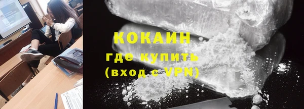 молекула духа Арсеньев