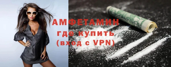 молекула духа Арсеньев